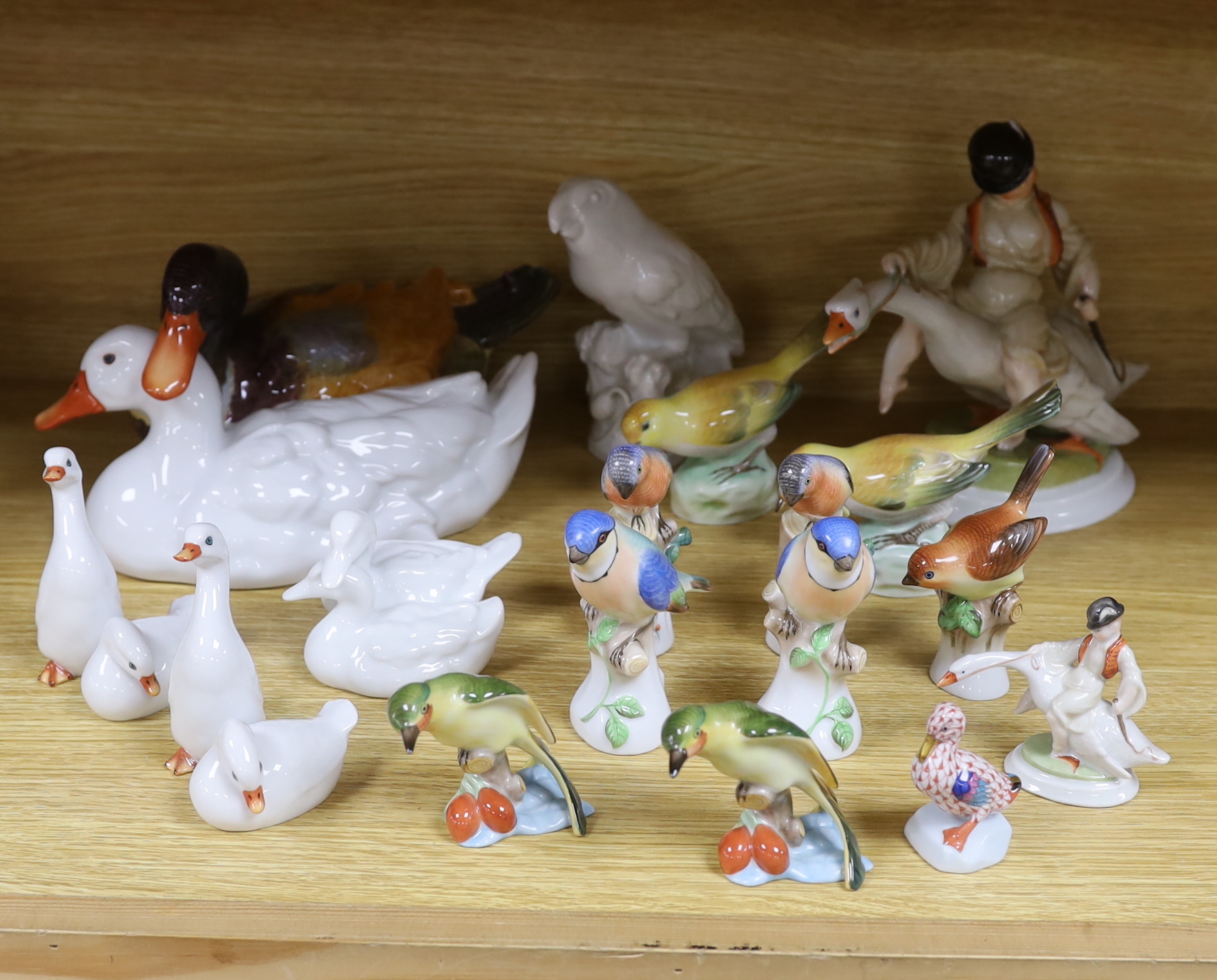 Seventeen Herend porcelain bird figures including boy riding a goose and ducks, some with hand painted decoration, the largest 30cm wide